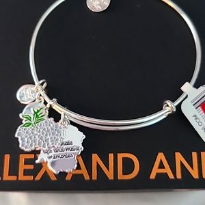 Alex and Ani delphinium bracelet